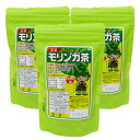 モリンガ茶(10包入り×3袋セット)