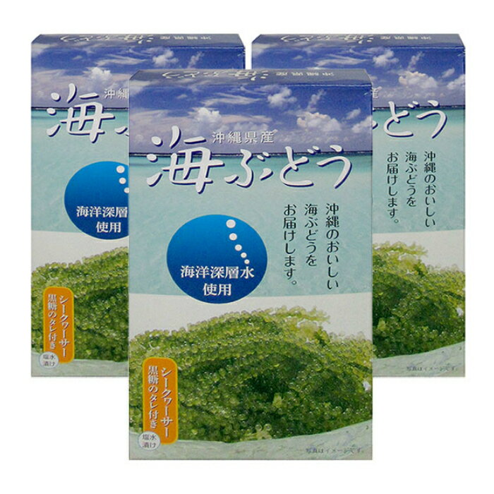 商品情報原材料名海ぶどう(沖縄産)食塩内容量60g保存方法高温多湿を避け常温保存してください。開封後はお早めにお召し上がりください。海ぶどう塩水漬け（60g×3箱セット） 海洋深層水を使用し海ぶどうをパックしました。、塩水漬けですので賞味期限約1ヶ月半〜2ヶ月あります。シークヮーサー黒糖タレ付きです。新入荷 海ぶどう塩水漬け60g　レターパック520発送 海洋深層水を使用し海ぶどうをパックしました。、塩水漬けですので賞味期限約1ヶ月半〜2ヶ月あります。シークヮーサー黒糖タレ付きです。 海ぶどう箱入り60g　タレ付き 稀に稚エビや他の海藻類が混ざる場合がございます。 エビアレルギーの方は、十分お気をつけください. 1