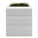 茎付き海ぶどう Bランク(480g×3箱セット) 全国送料無料沖縄産 粒小さめの海ぶどう 海鮮丼 業務用 茎が多めのBランク
