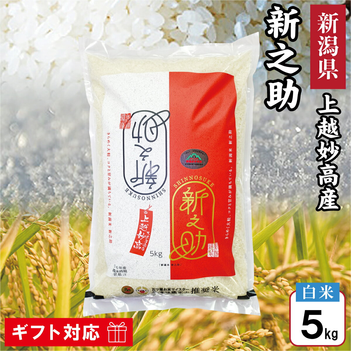 令和6年 新潟県 上越妙高産 新之助 5kg 白米 【五ツ星お米マイスター推奨米 みょうこう推奨品】 新潟県産 上越産 妙高産 新潟 しんのすけ 米 お米 おこめ 妙高市 上越市 5キロ ギフト お返し 贈答品 贈り物 お祝い お礼 内祝い プレゼント 誕生日 粗品 香典返し 満中陰志のサムネイル