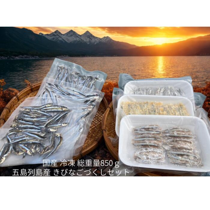 国産　五島列島産 きびなご　生　冷凍　きびなごづくしセット　総重量850g