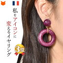 大ぶり サークル フープ イヤリング 痛くない 樹脂 モチーフ 揺れる イアリング 結婚式 パーティ 誕生日 プレゼント 母の日 ギフト 花以外 義母