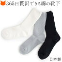 靴下 レディース クルー丈 おしゃれ コットン ソックス 綿 くつ下 白 ホワイト グレー 黒 ブラック ビジネス 22cm 23cm 24〜26 27cm 日...
