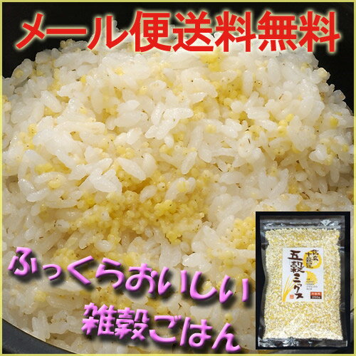 値下げ！五穀ミックス白米3〜4kg用「おいしい雑穀」【ワンコイン】【ダイエット】【ヘルシー】【マクロビ】【雑穀】【五穀】【ヘルシー】【RCP】10P21Aug14