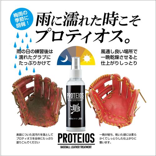 PROTEIOS プロティオス グラブ用トリートメント 150mlグローブのコンディションを...