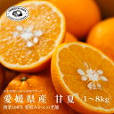 甘夏【創業108年 愛媛みかんの老舗厳選】【樹上完熟】【送料無料】【農家直送】新口農園 愛媛県 西宇和 八幡浜 みかん お試し価格 1kg 2kg 3kg 5k...