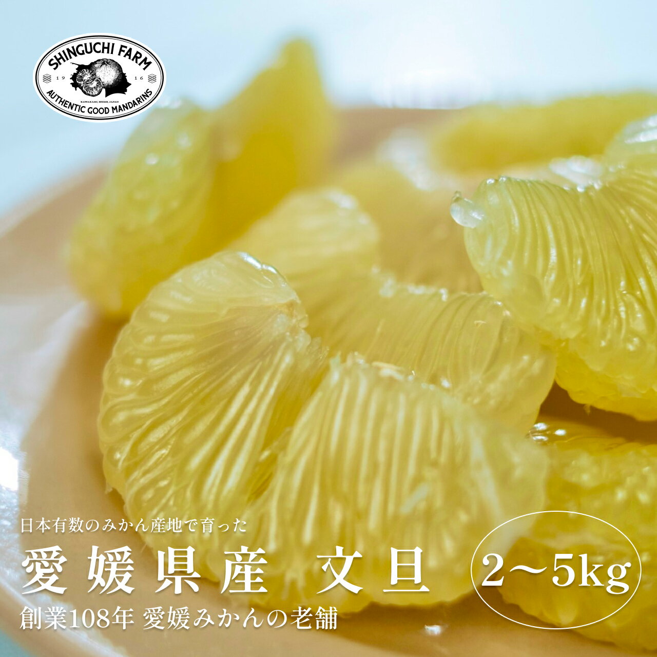 【完熟】文旦【創業108年 愛媛みかんの老舗厳選】【樹上完熟】【送料無料】【農家直送】新口農園 愛媛県 西宇和 八幡浜 みかん お試し価格 2kg 3kg 5kg