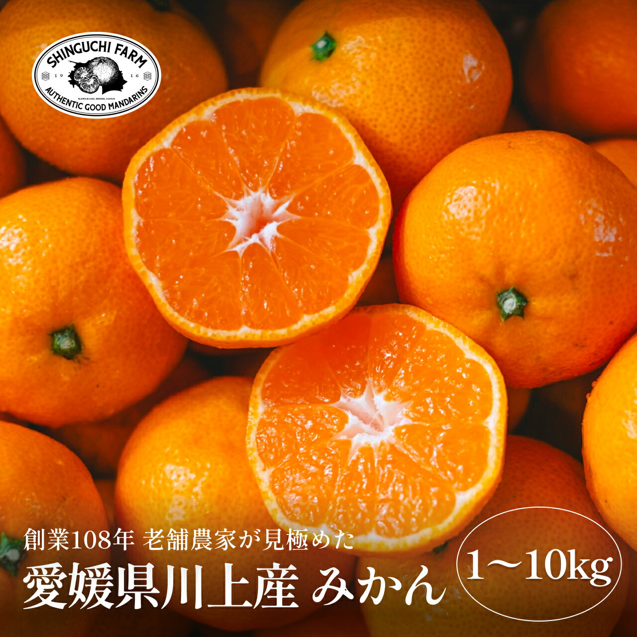 【予約限定価格】川上みかん【 愛媛みかんの老舗厳選】【送料無料】【農家直送】【ギフト】創業108年 新口農園 家庭用 愛媛県 西宇和 八幡浜 温州みかん 権兵衛みかん こうの媛 みかん お試し価格 1kg 2kg 3kg 5kg 10kg 小玉 S M L 11月上旬より順次発送