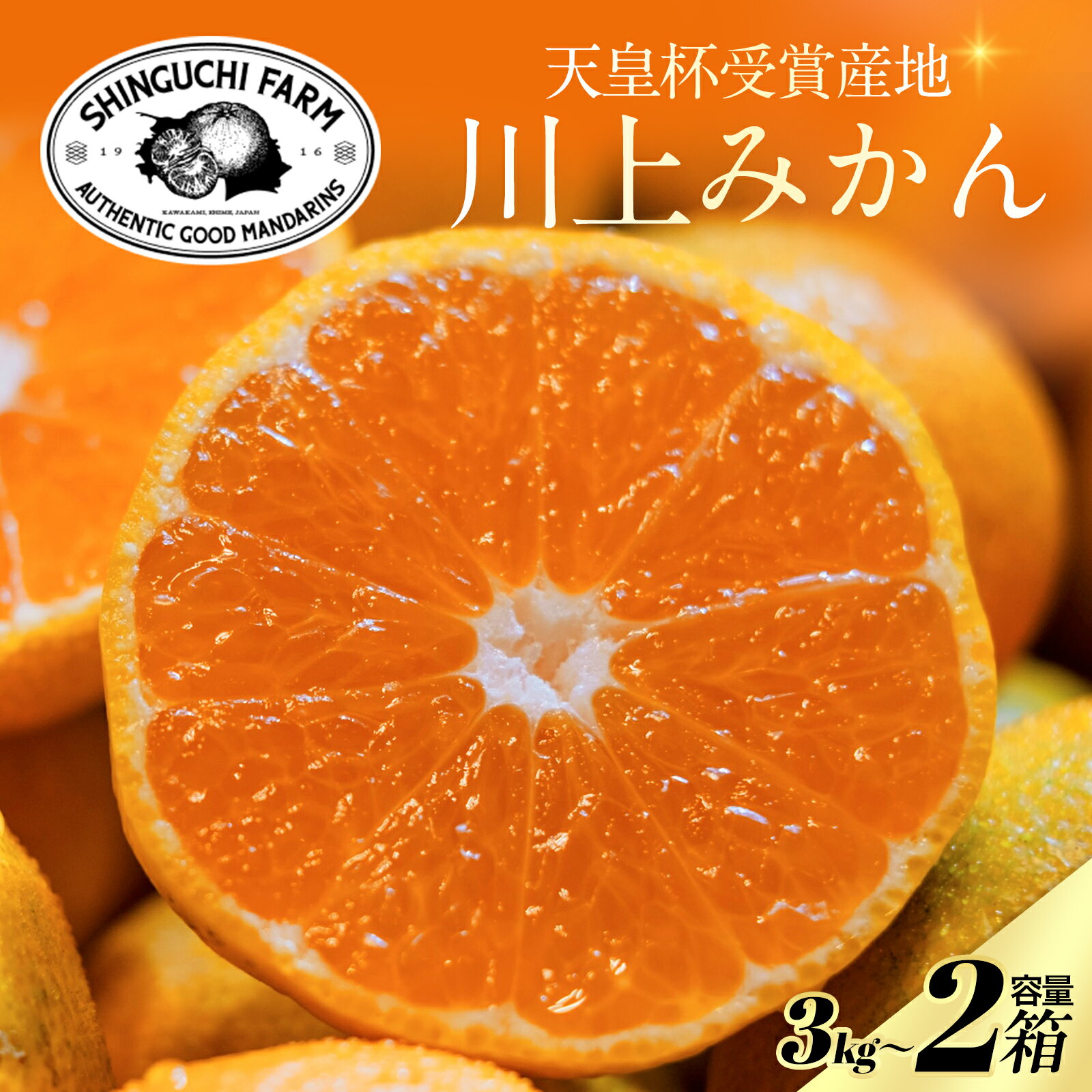 【天皇杯受賞産地】 川上みかん 3kg×2箱 【創業108年 老舗農家】【送料無料】新口農園 愛媛県 八幡浜市 西宇和 小玉 S M L 6kg【農家直送】家庭用 温州みかん みかん ミカン 果物 旬 フルーツ 柑橘 柑橘類 国産 産地直送