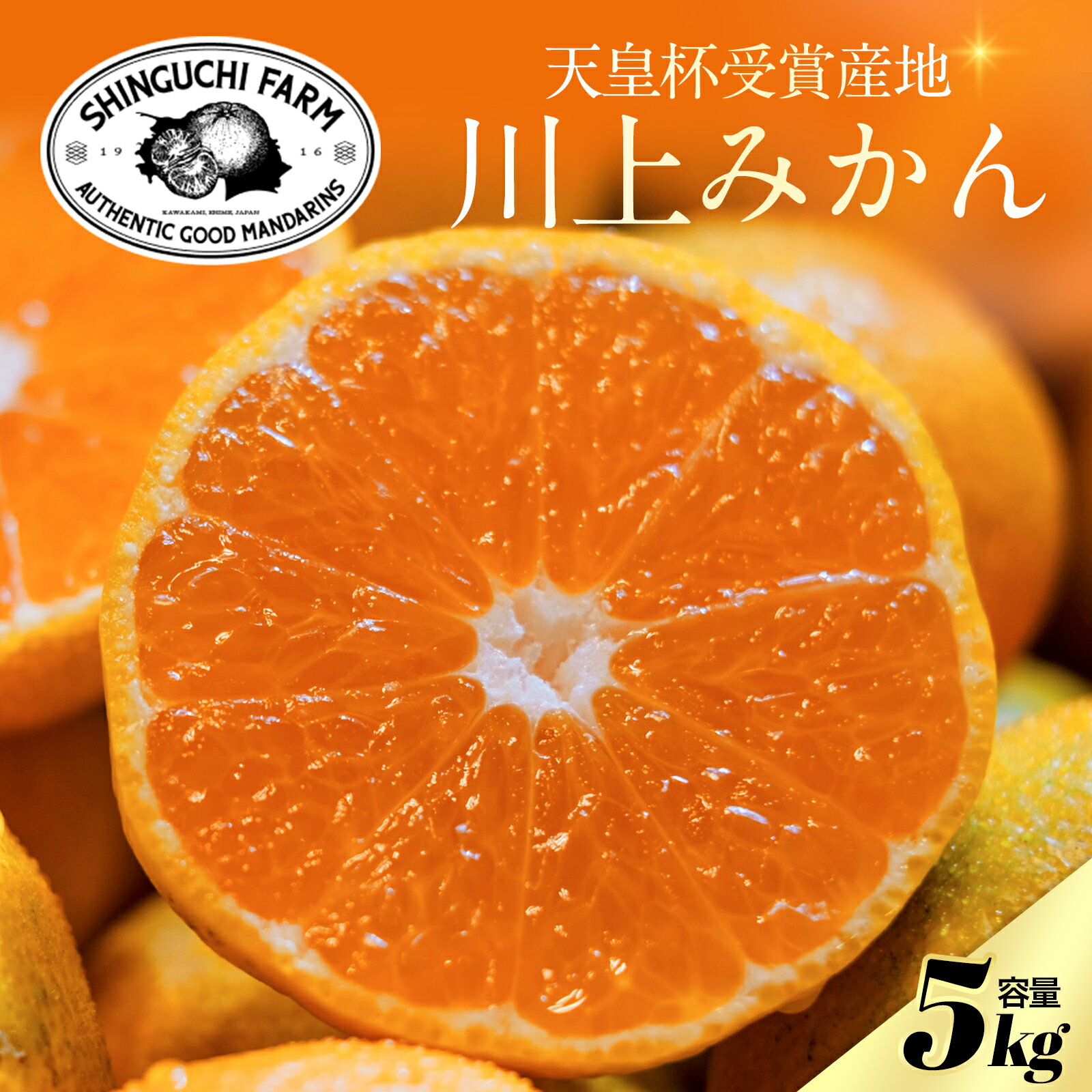 【天皇杯受賞産地】 川上みかん 5kg 【創業108年 老舗農家】【送料無料】新口農園 愛媛県 八幡浜市 西宇和 小玉 S M L 【農家直送】家庭用 温州みかん みかん ミカン 果物 旬 フルーツ 柑橘 柑橘類 国産 産地直送