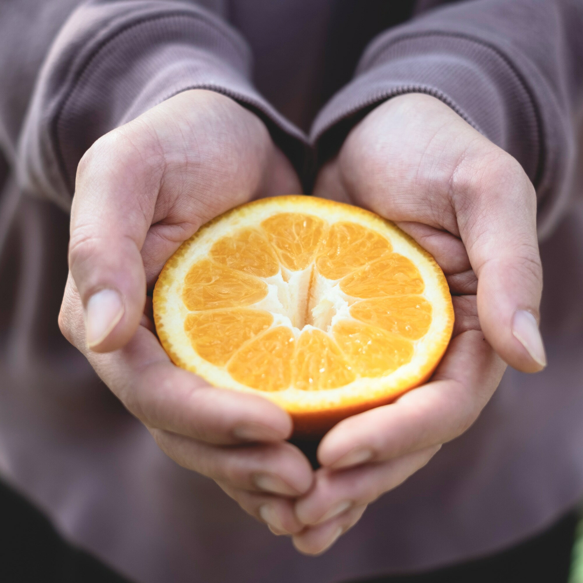 ���϶�110ǯ ��ɲ�ߤ�������ľ���۰�ͽ��������̵���۰�ɲ ȬȨ�� ������ ������ ������ (���٤�1kg~8kg) ��ɲ�ߤ��� ���褫�� 1kg 2kg 3kg 5kg 8kg