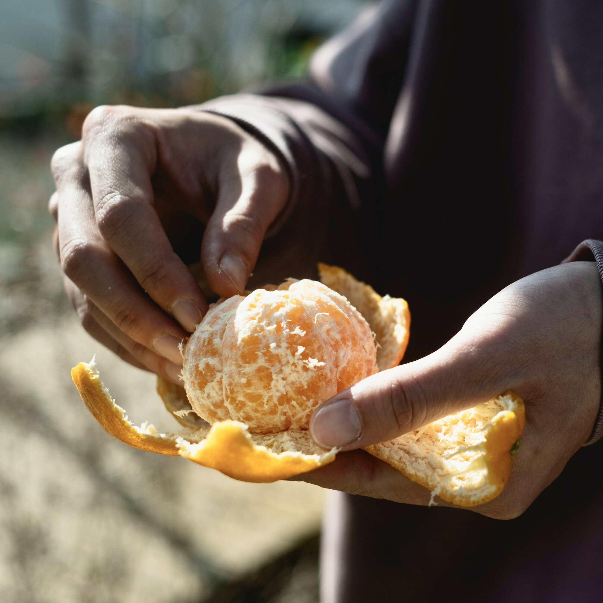 ���϶�110ǯ ��ɲ�ߤ�������ľ���ۥݥ󥫥������̵���۰�ɲ ȬȨ�� ������ ������ ������ (���٤�1kg~8kg) ��ɲ�ߤ��� �ݤ󤫤� 1kg 2kg 3kg 5kg 8kg