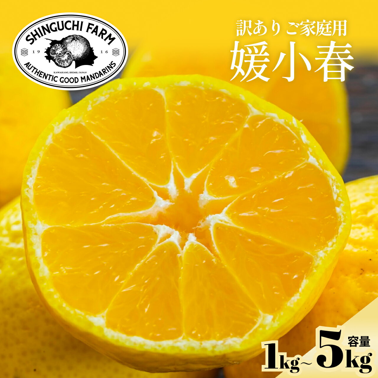 【訳ありだけど美味しさそのまま】媛小春【送料無料】【創業110年 愛媛みかんの老舗】【農家直送】新口農園 訳あり 愛媛県 西宇和 八幡浜 愛媛 訳あり 1kg ...