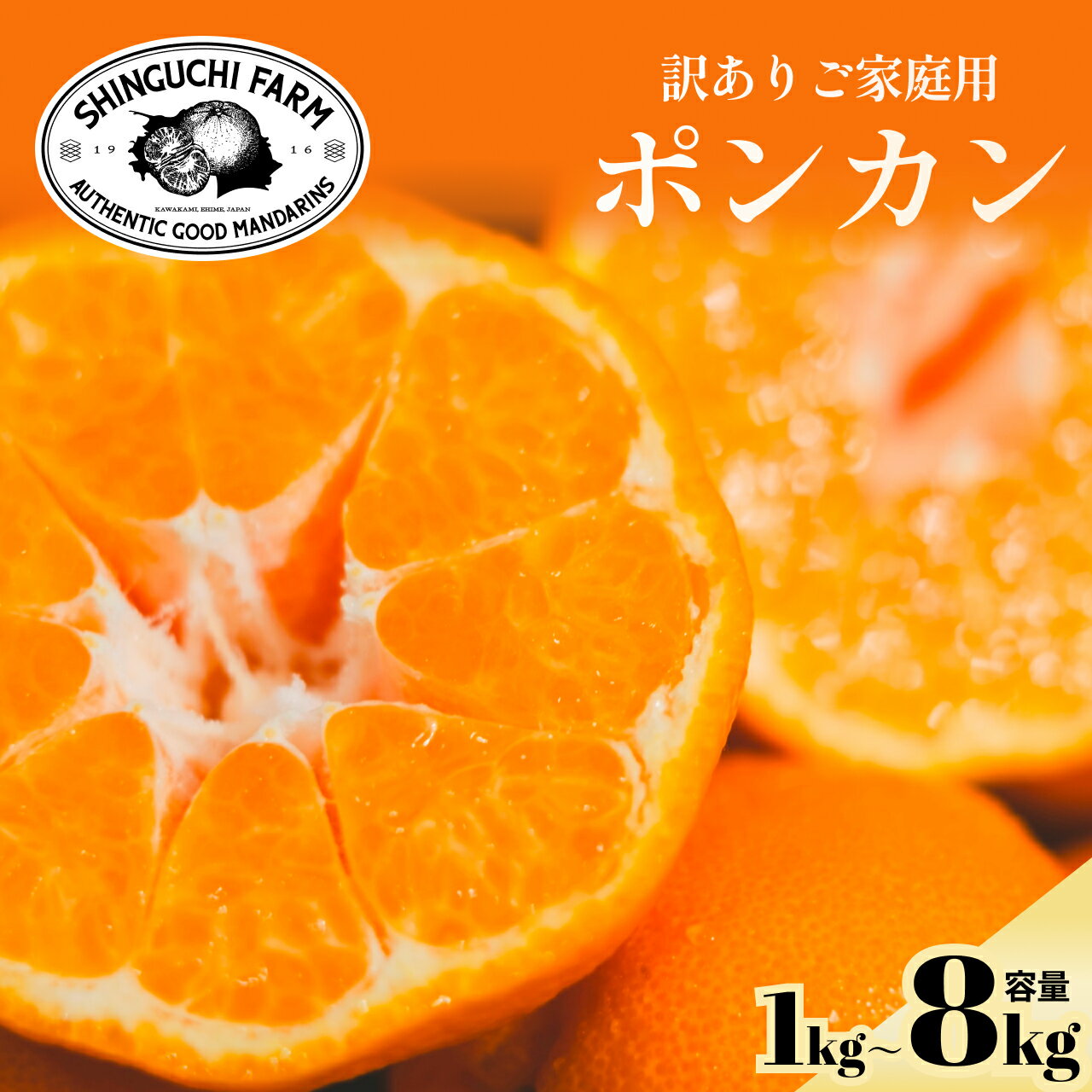 【訳ありだけど美味しさそのまま】ポンカン【送料無料】【創業110年 愛媛みかんの老舗】【農家直送】新口農園 訳あり 愛媛県 西宇和 八幡浜 ぽんかん 1kg 2...