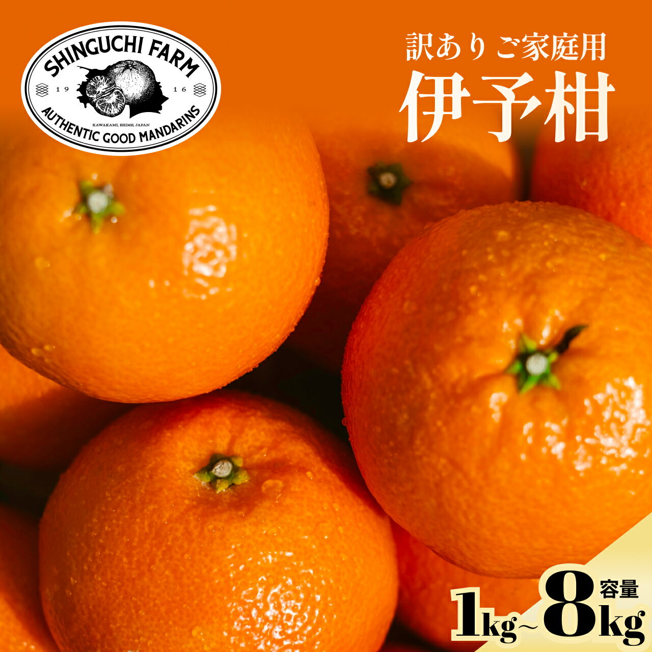 【訳ありだけど美味しさそのまま】伊予柑【送料無料】【創業110年 愛媛みかんの老舗】【農家直送】新口農園 訳あり 愛媛県 西宇和 八幡浜 いよかん 1kg 2kg 3kg 5kg 8kg