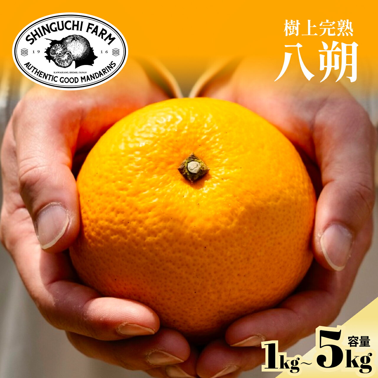 乐天商城 - 【創業110年 農家直送】八朔【送料無料】愛媛 八幡浜 西宇和 家庭用 (選べる1kg~5kg) 1kg 2kg 3kg 5kg