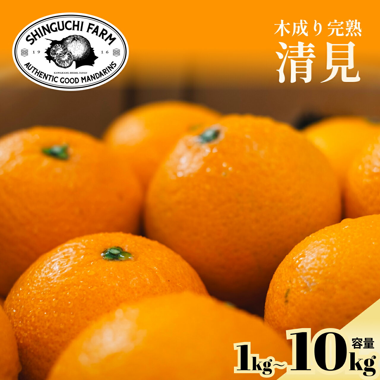 乐天商城 - 【創業110年 農家直送】訳あり 清見【送料無料】愛媛 八幡浜 西宇和 訳あり (選べる1kg~10kg) 1kg 2kg 3kg 5kg 10kg きよみ みかん