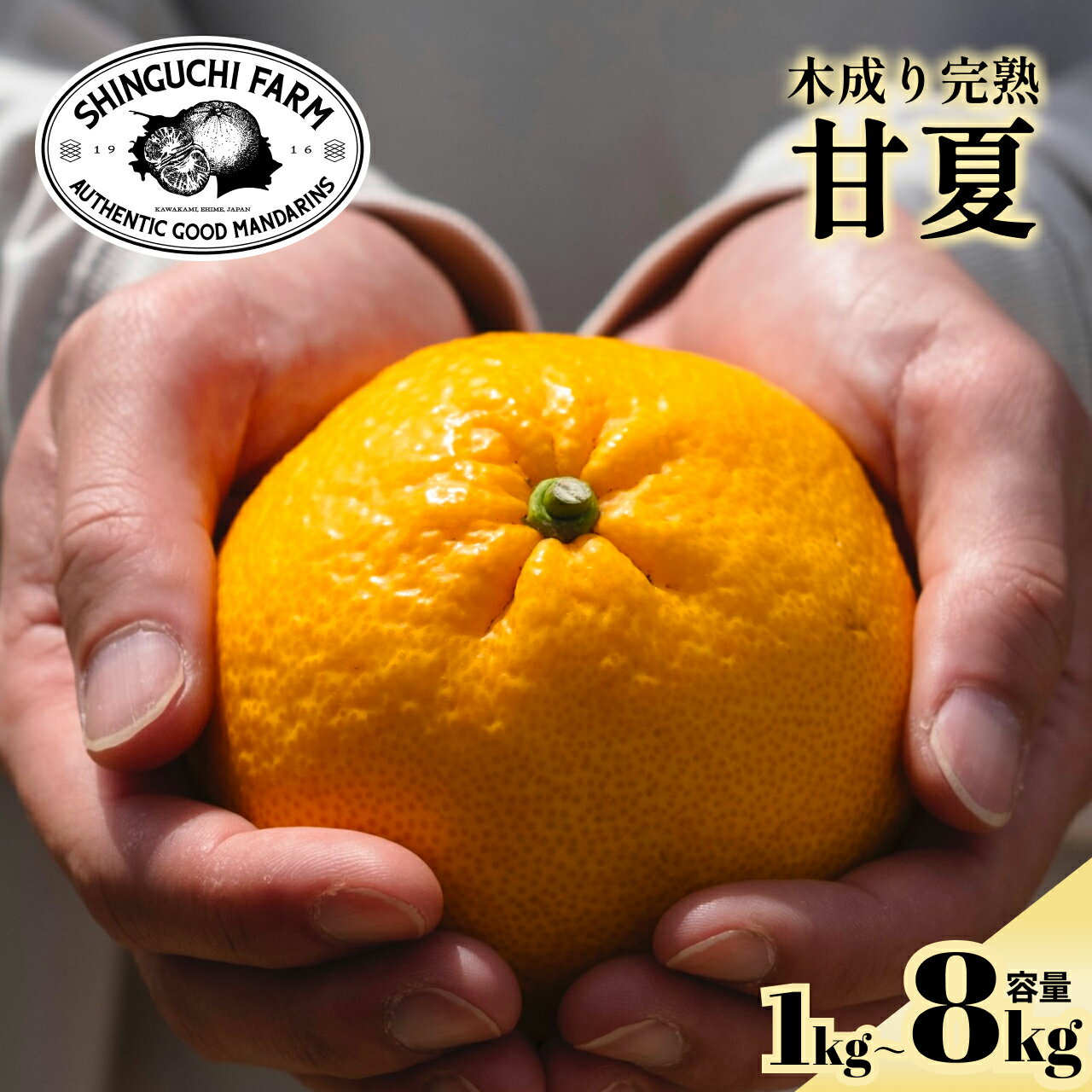 ���϶�110ǯ ����ľ���۴Ųơ�����̵���۰�ɲ ȬȨ�� ������ ������ (���٤�1kg~10kg) 1kg 2kg 3kg 5kg 10kg �ߤ��� ͽ���� 4���ܤ��缡ȯ��ͽ��