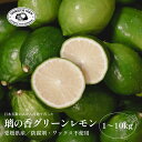 【皮まで食べられる希少なレモン】瀬戸内グリーンレモン【防腐剤・ワックス不使用】【創業108年 老舗農家】【送料無料】新口農園 産地直送 愛媛県産レモン 1kg 2kg 3kg 5kg 10kg 国産レモン 減農薬 れもん 檸檬 グリーンレモン 璃の香レモン