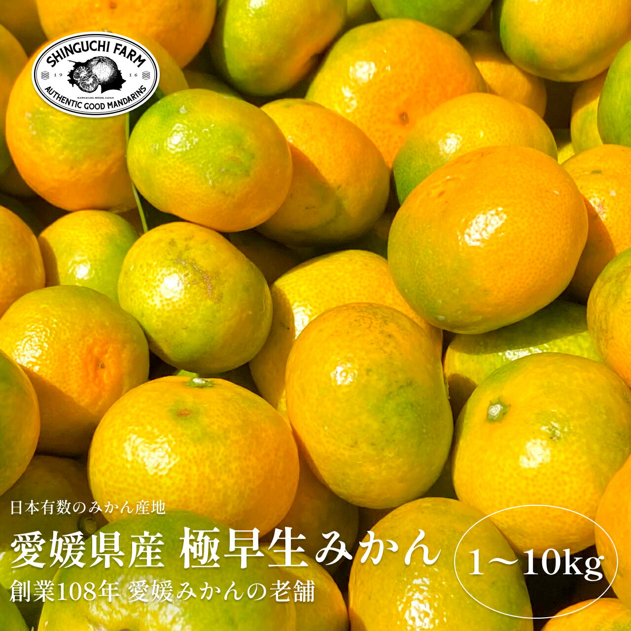 【創業108年 愛媛みかんの老舗】極早生みかん【送料無料】農家直送 家庭用 愛媛県 八幡浜 川上 みかん 新口農園 S M L 1kg 2kg 3kg 5kg 10kgのサムネイル