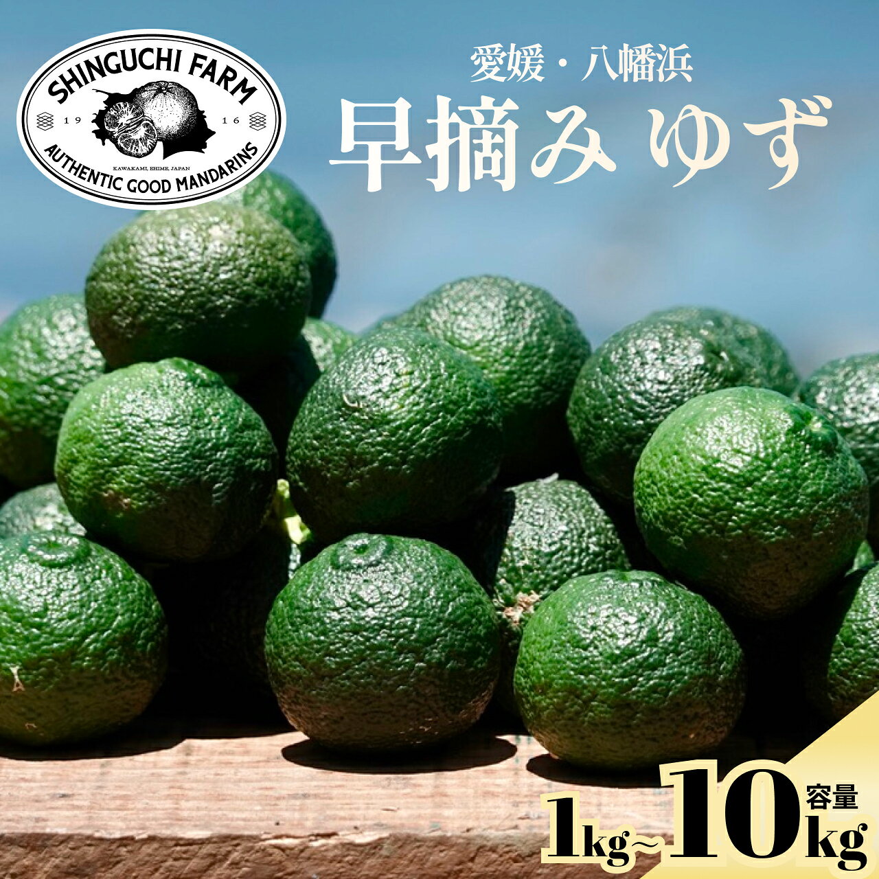 楽天市場】無農薬柚子の通販