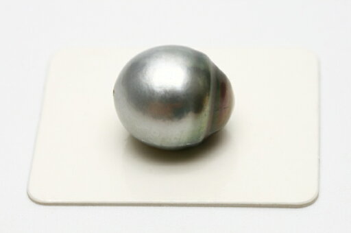 タヒチ黒蝶真珠パールルース 両穴 16×14mm グレーカラー タヒチ黒蝶真珠パールルース 両穴 16×14mm グレーカラー
