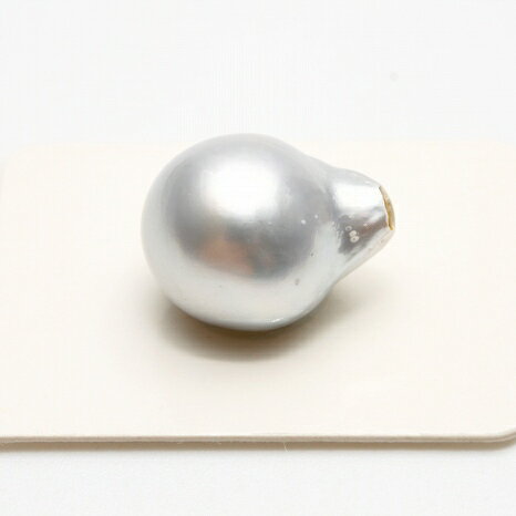 南洋白蝶真珠パールルース 両穴 17×13mm シルバーカラー