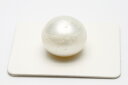 南洋白蝶真珠パールルース　16mm　ホワイトカラー