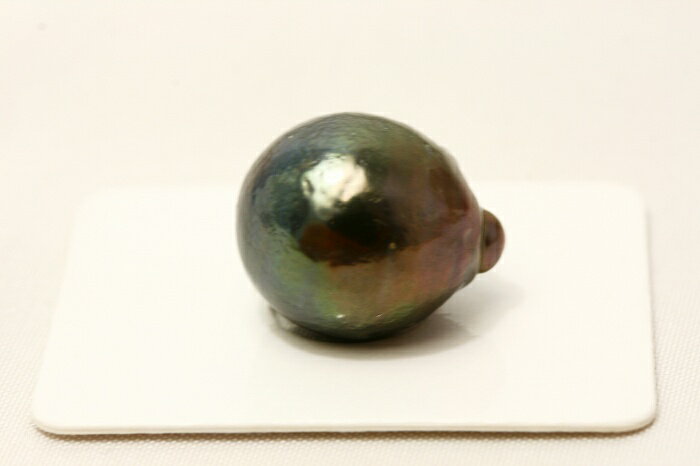 タヒチ黒蝶真珠パールルース　両穴　17×14mm　ブラックカラー