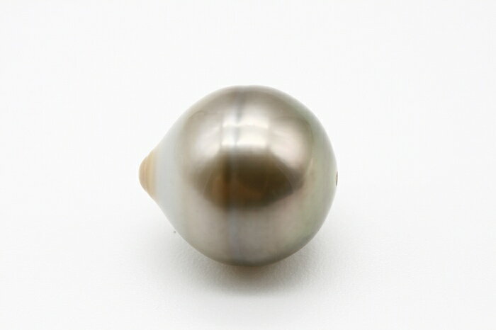 タヒチ黒蝶真珠パールルース　両穴　15×13mm　グレーカラー