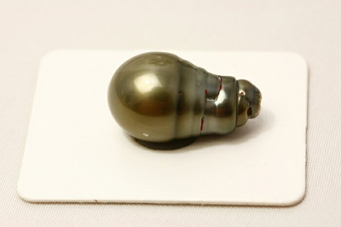 タヒチ黒蝶真珠パールルース 両穴 21×12mm ブラックグレーカラー