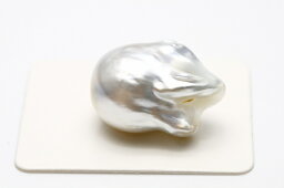 南洋白蝶真珠パールルース　両穴　22×15mm　シルバーカラー