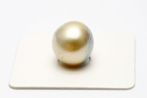 南洋白蝶真珠パールルース 両穴 14mm ゴールドグレーカラー 南洋白蝶真珠パールルース 両穴 14mm ゴールドグレーカラー