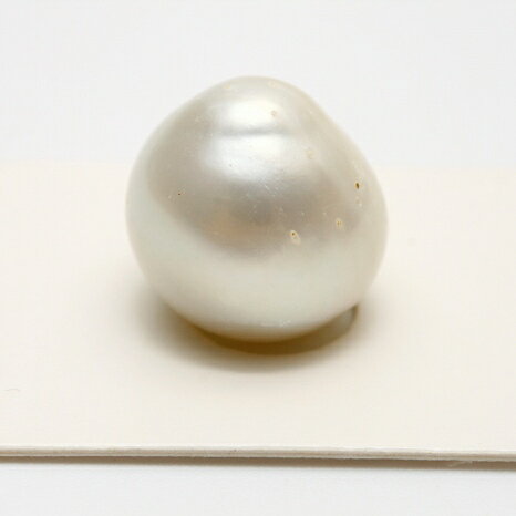 南洋白蝶真珠パールルース 16×15mm ホワイトカラー