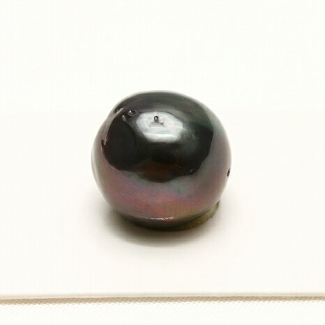 タヒチ黒蝶真珠パールルース 両穴 14mm ブラックカラー
