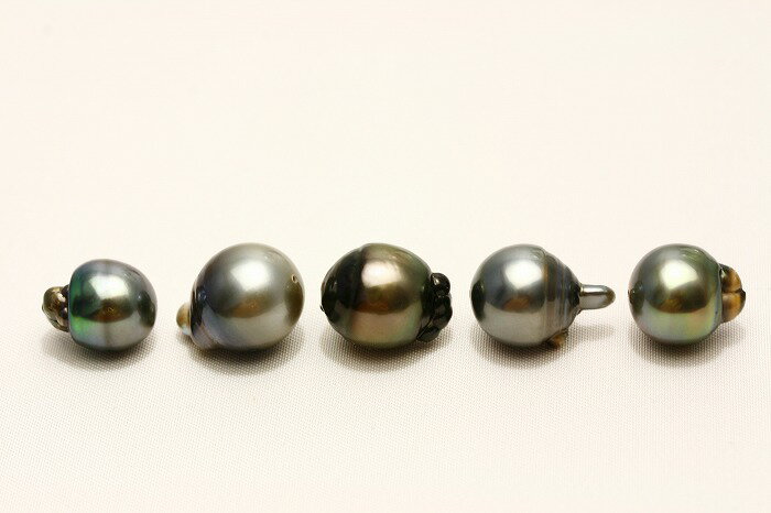 タヒチ黒蝶真珠パールルース　両穴　5ピース　13-11mm　マルチカラー