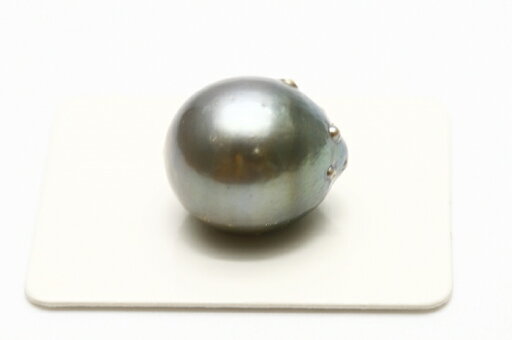 タヒチ黒蝶真珠パールルース 両穴 17×14mm グレーカラー タヒチ黒蝶真珠パールルース 両穴 17×14mm グレーカラー