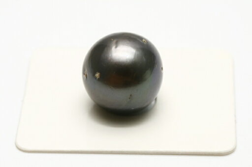 タヒチ黒蝶真珠パールルース 両穴 14mm ブラックカラー タヒチ黒蝶真珠パールルース 両穴 14mm ブラックカラー