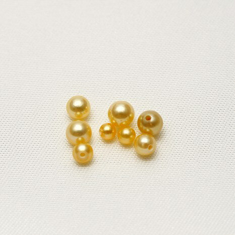 アコヤ真珠パールルース 片穴 8ピース 2-4mm ゴールドカラー