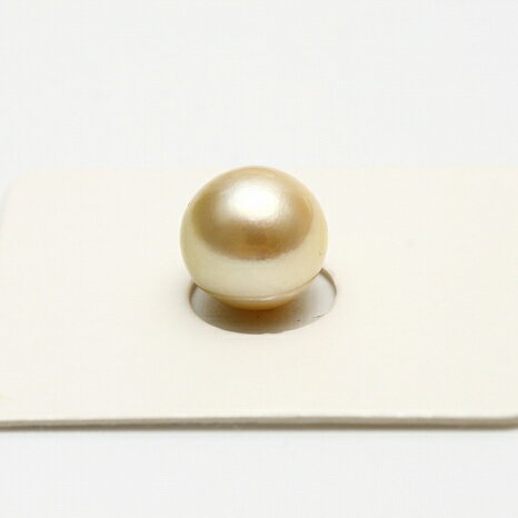 俿ѡ롼9.5-10.0mm̵Ĵɥ顼