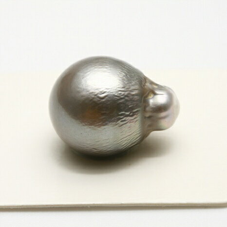 タヒチ黒蝶真珠パールルース　両穴　14mm　グレーカラー