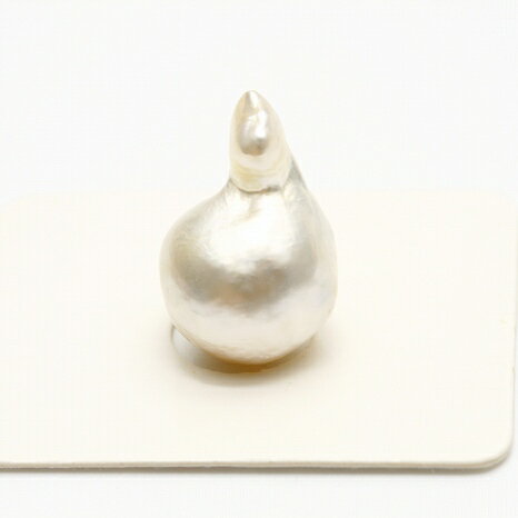南洋白蝶真珠パールルース 19×12mm ホワイトカラー