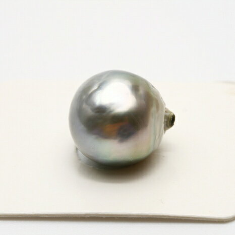 タヒチ黒蝶真珠パールルース 両穴 13mm グリーングレーカラー タヒチ黒蝶真珠パールルース 両穴 13mm グリーングレーカラー