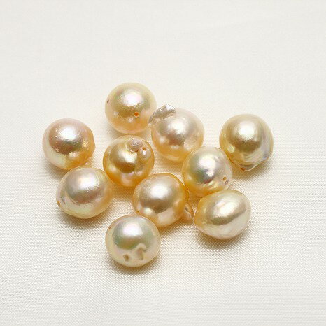 アコヤ真珠パールルース　両穴　10ピース　10.0-10.5mm　マルチカラー