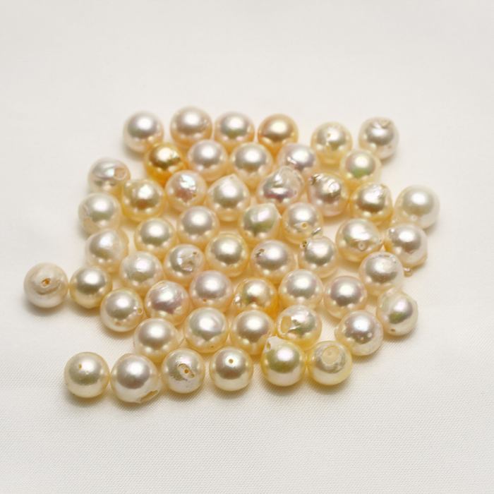 アコヤ真珠パールルース 両穴 50ピース 8.0-8.5mm マルチカラー
