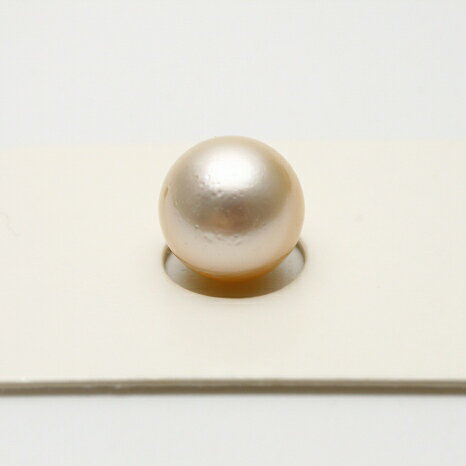 南洋白蝶真珠パールルース　片穴　10mm　クリームカラー