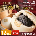 【公式】新宿中村屋 天成《小》餡饅12個入【送料込】【中村屋 あんまん 中華まん 贈答 餡まん 餡饅 セット 惣菜 個包装 小分け 冷凍 まんじゅう 饅頭 点心...