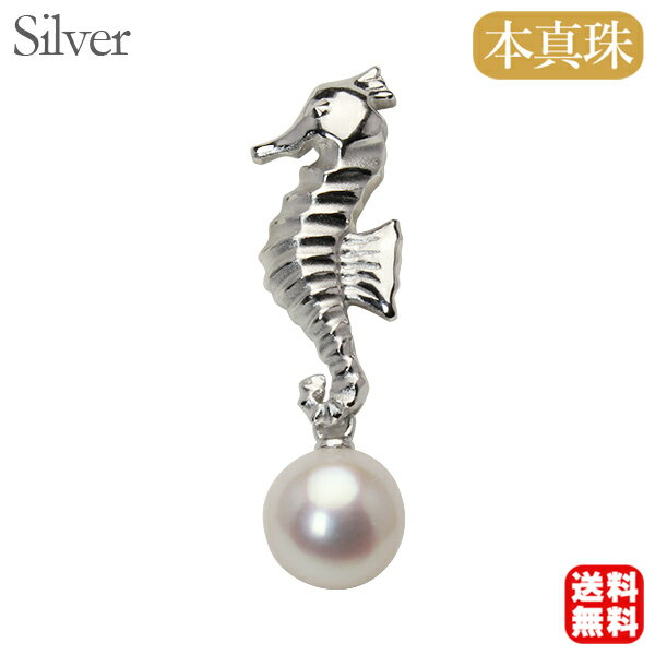 【ポイント10倍】メンズ 辰ブローチ タツノオトシゴ 竜 龍 シードラゴン 本真珠 あこや アコヤ 7mm パール ブローチ 真珠ブローチ ピンブローチ ピンズ...