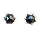 メンズ ピアス ブラックダイヤモンド 0.20ct pt900 プラチナ 送料無料 普段使い 人気 おすすめ カジュアル トレンド プレゼント ギフト 夏ジュエ...