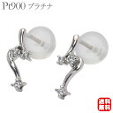 【只今 ポイント10倍中!】ダイヤモンド ピアス ダイア ダイヤ ダイアモンド プラチナ スタッド ペア メンズ 男性 送料無料 プレゼント ギフト 夏ジュエリ...